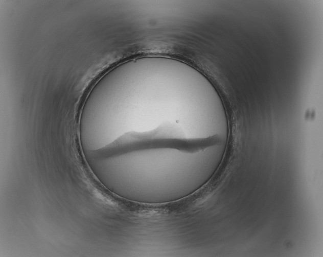 X0000110680721200906261320