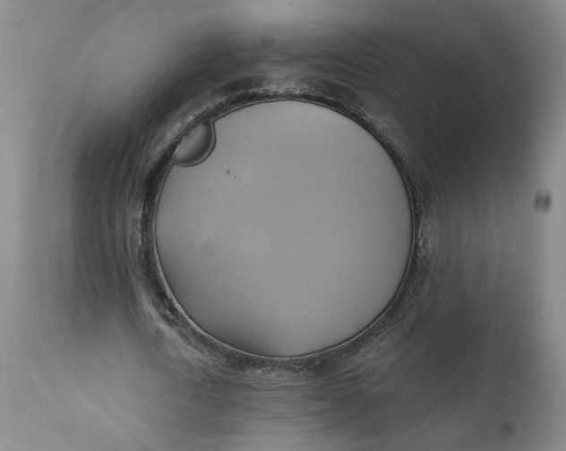 X0000110680722200906261320