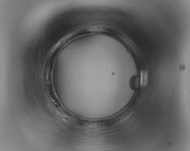 X0000110680723200906261320