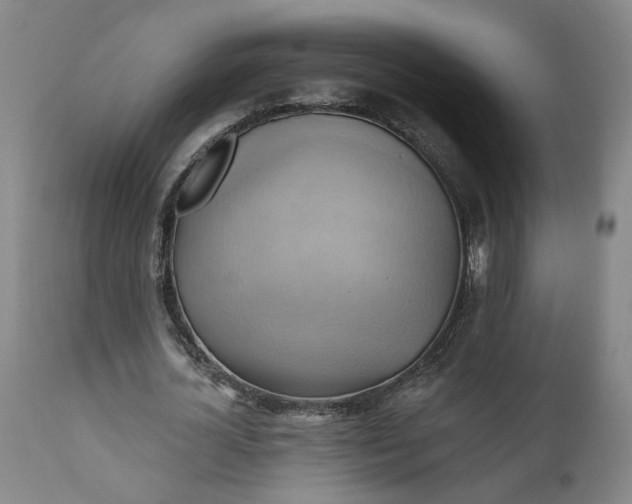 X0000110680724200906261320