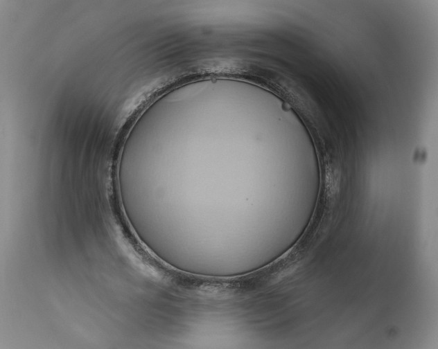 X0000110680725200906261320