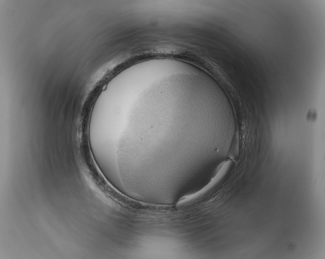 X0000110680726200906261320