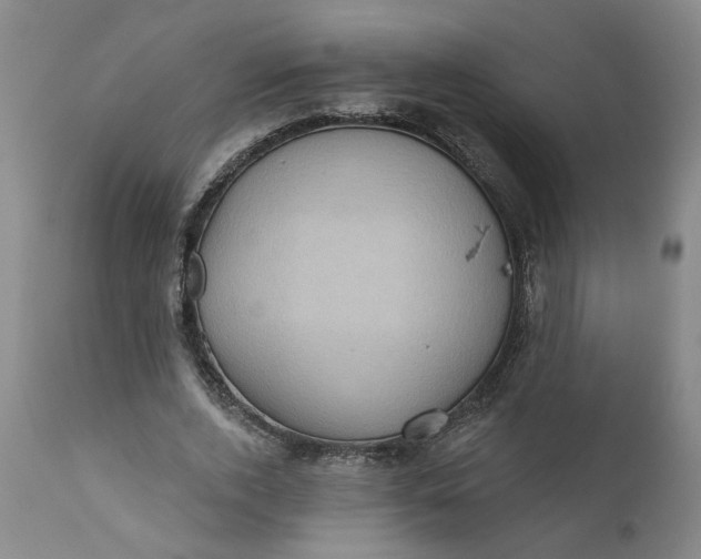 X0000110680728200906261320