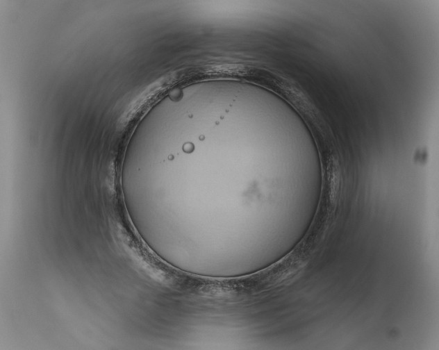 X0000110680729200906261320