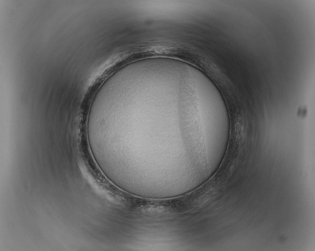 X0000110680730200906261320