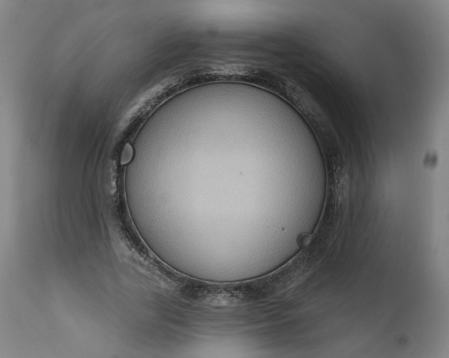 X0000110680731200906261320