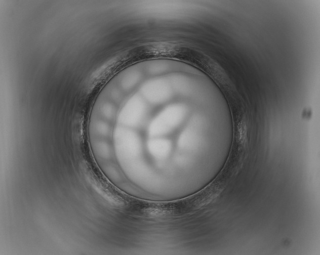 X0000110680733200906261320