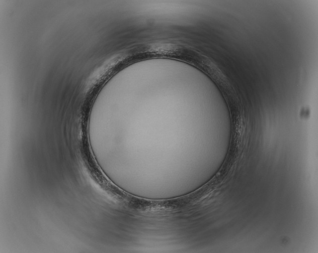 X0000110680734200906261320