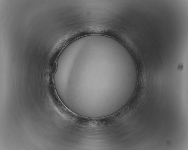 X0000110680736200906261320