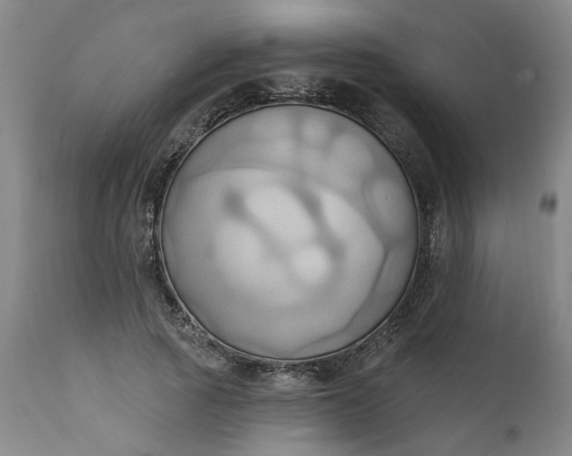 X0000110680737200906261320