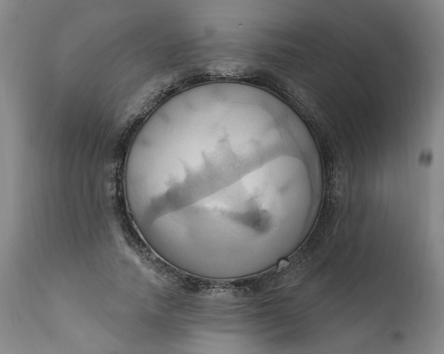 X0000110680738200906261320