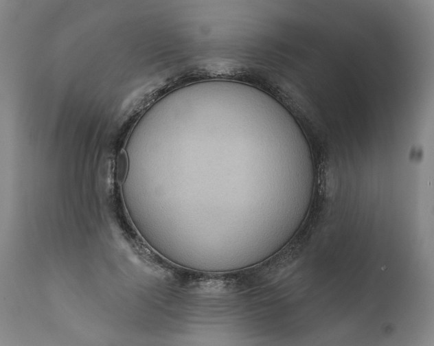 X0000110680740200906261320