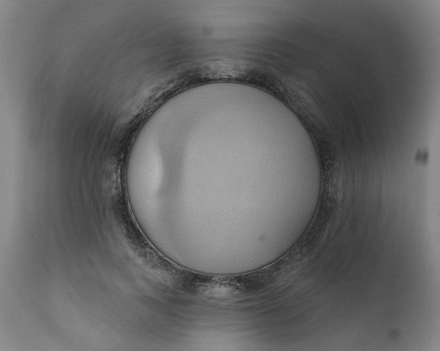 X0000110680743200906261320