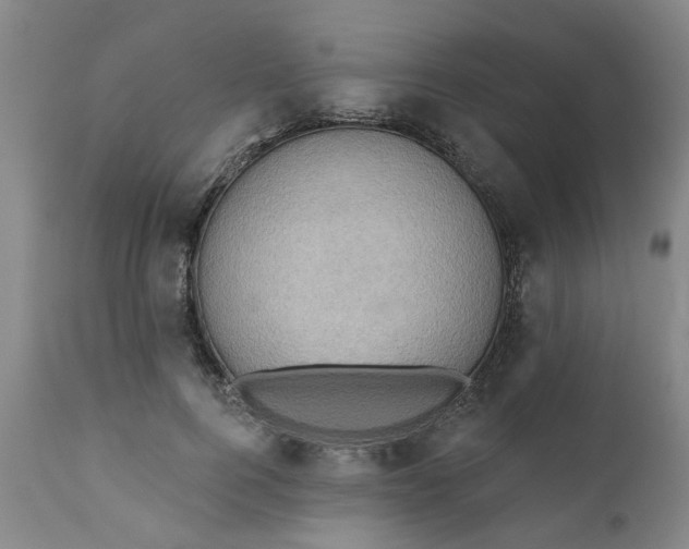 X0000110680744200906261320