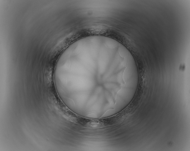 X0000110680745200906261320