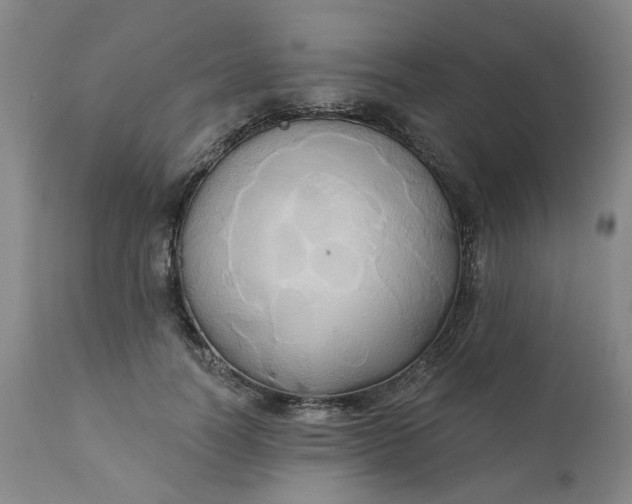 X0000110680746200906261320