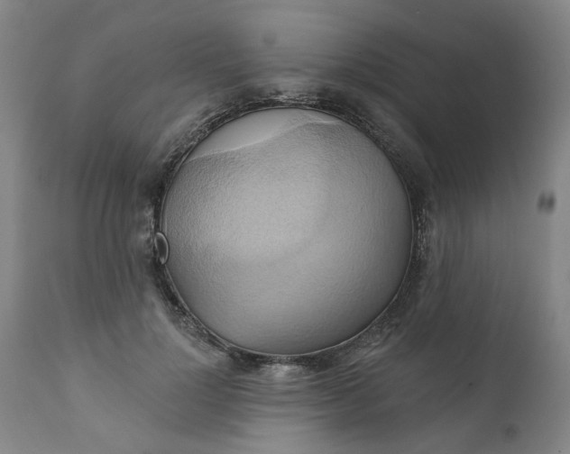 X0000110680748200906261320