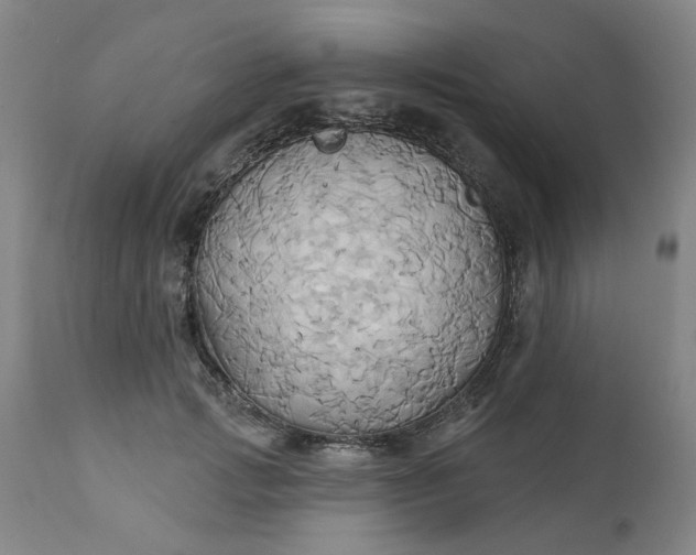 X0000110680749200906261320