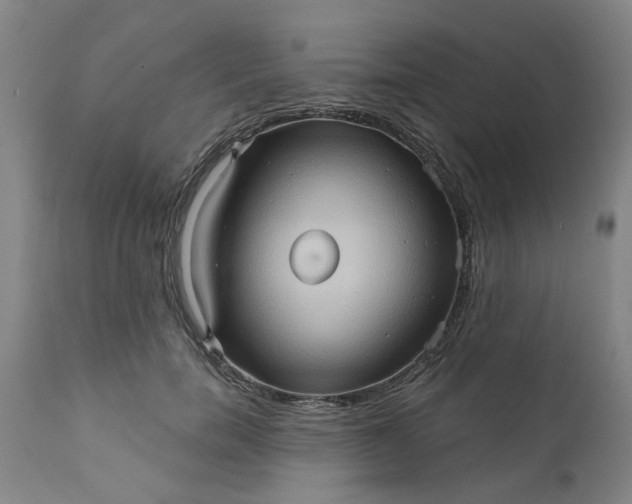 X0000110680750200906261320