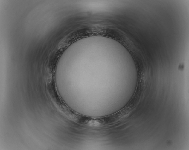 X0000110680751200906261320