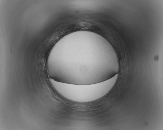 X0000110680752200906261320