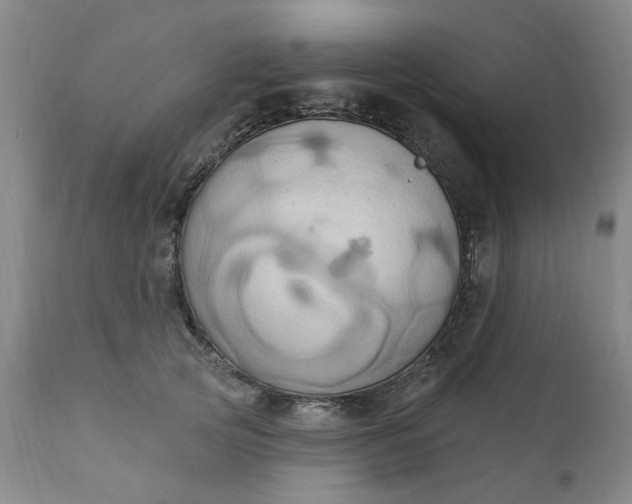 X0000110680753200906261320