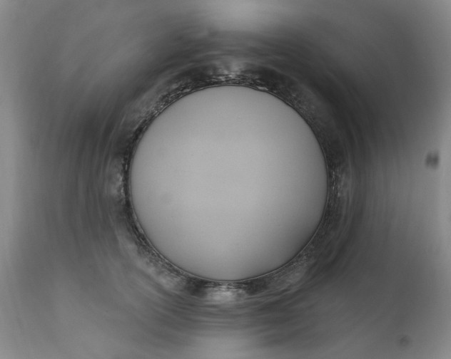 X0000110680754200906261320