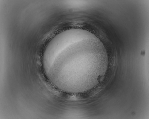 X0000110680755200906261320