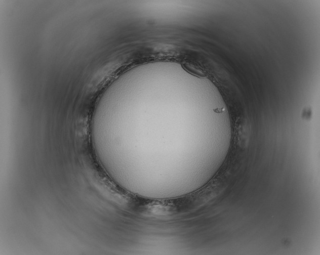 X0000110680756200906261320