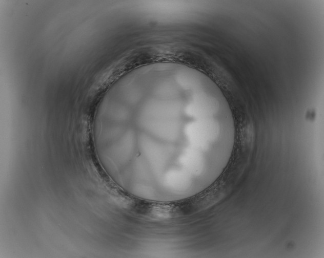 X0000110680757200906261321