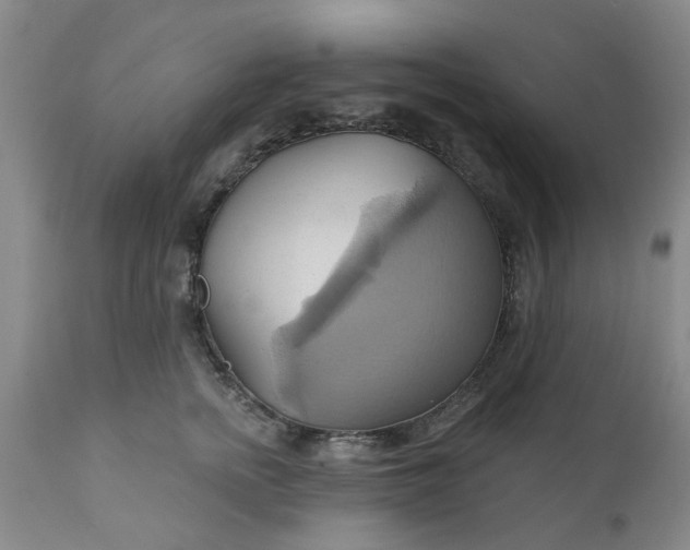 X0000110680758200906261321