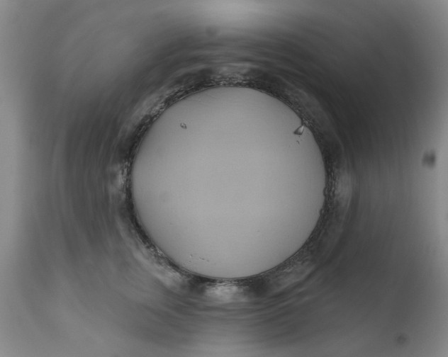 X0000110680759200906261321