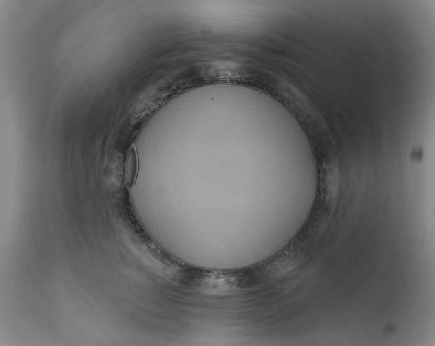 X0000110680760200906261321