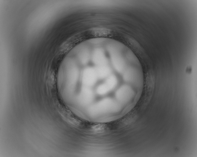 X0000110680761200906261321