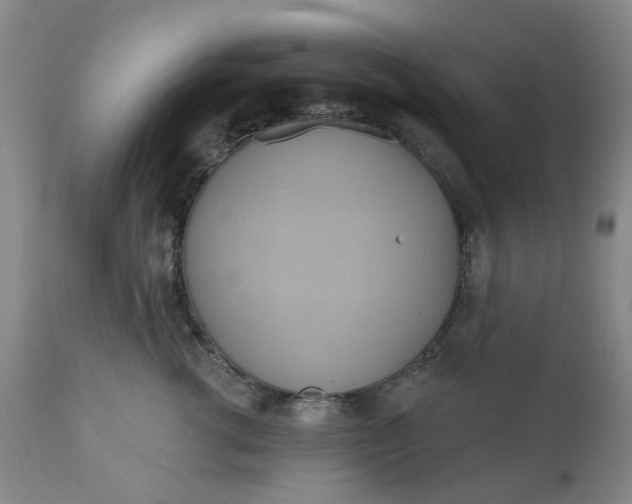 X0000110680762200906261321