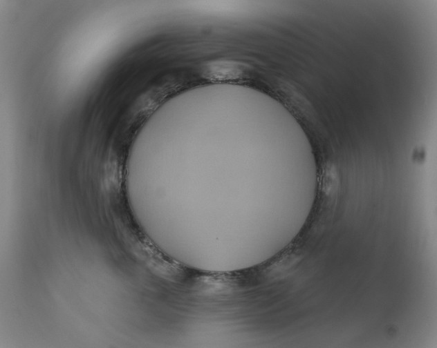 X0000110680763200906261321