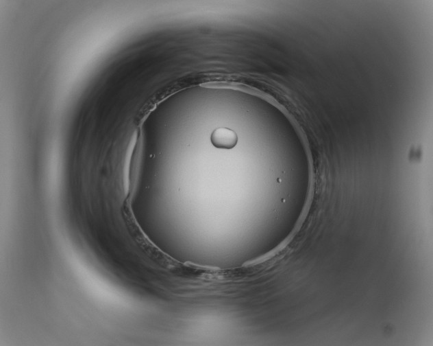 X0000110680764200906261321