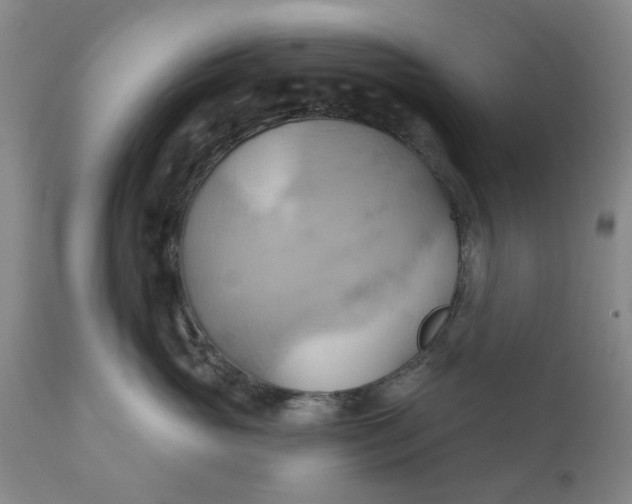 X0000110680765200906261321