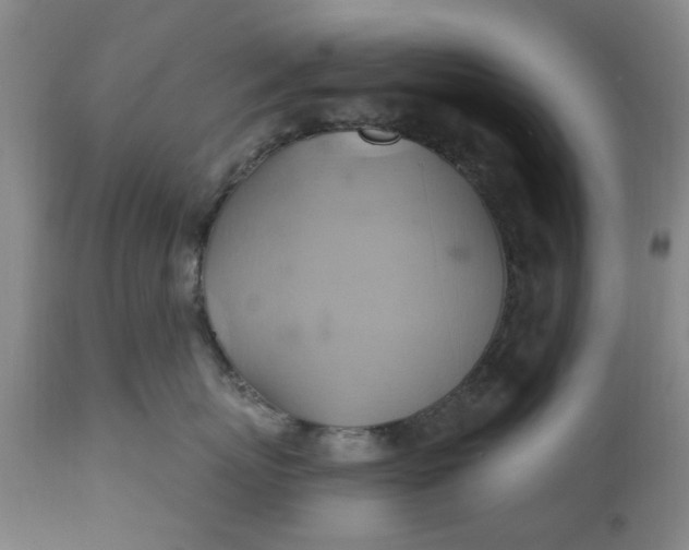 X0000110680767200906261321