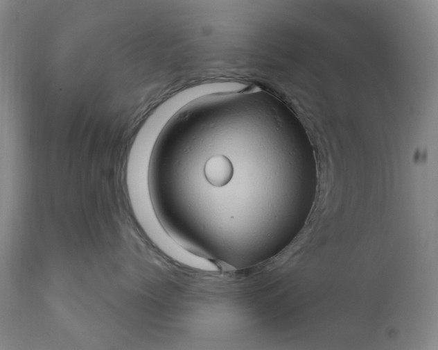 X0000110680768200906261321