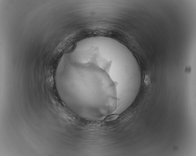 X0000110680771200906261320