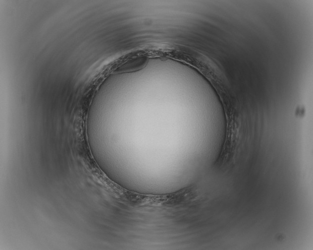 X0000110680773200906261320