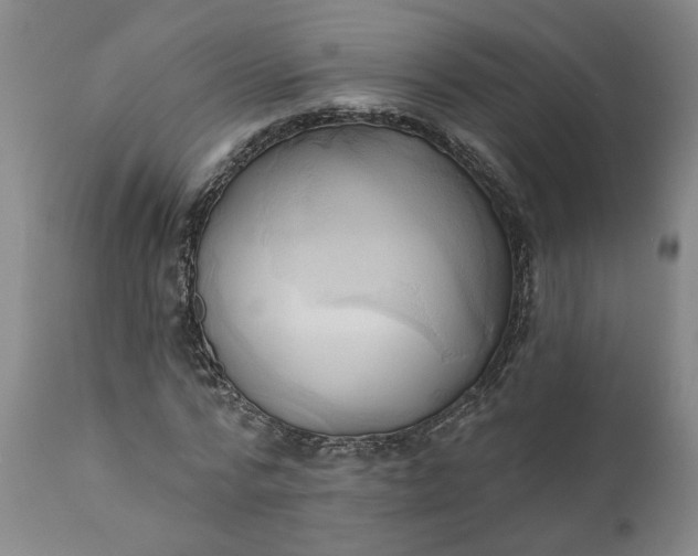 X0000110680776200906261320