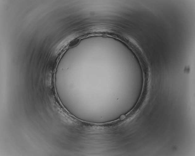 X0000110680777200906261320