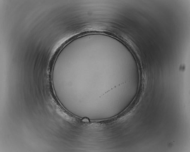 X0000110680779200906261320