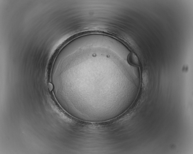 X0000110680780200906261320