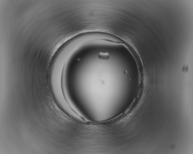 X0000110680781200906261320