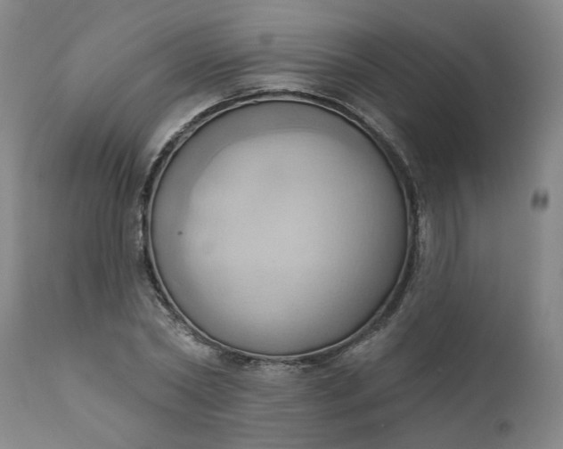 X0000110680782200906261320