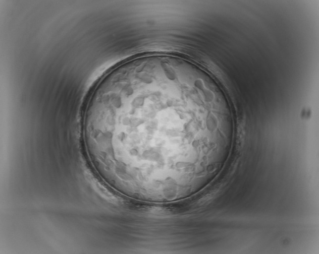 X0000110680787200906261320