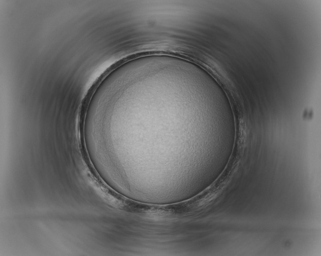 X0000110680788200906261320